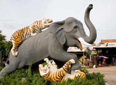 kompong thom meta alternativa in cambogia
